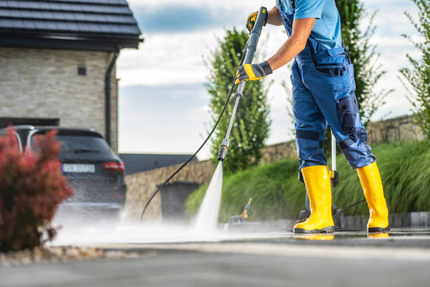 Animal Enclosure Cleaning in Cullman, AL